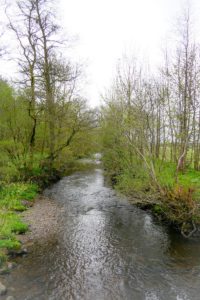 Falloch River - Scotland