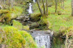 Loch Lomond - Scotland