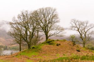 Carbeth - Scotland