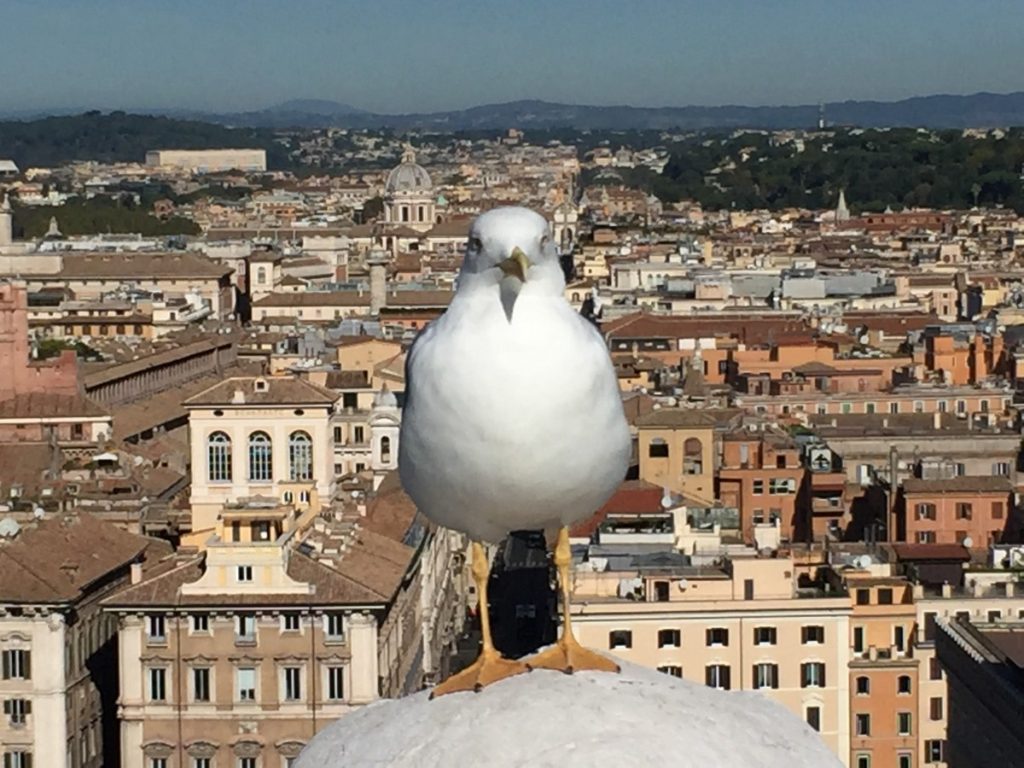 Rome - Italy