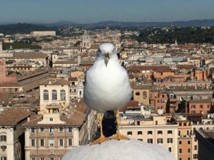 Rome - Italy