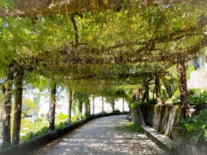 Bussaco – Portugal