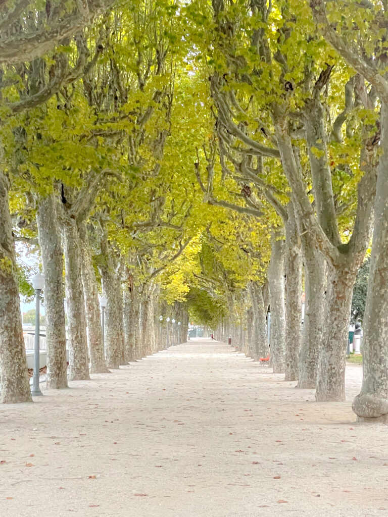 Coimbra - Portugal