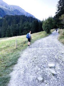 Les Contamisne - France