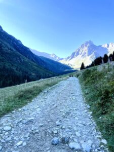 Les Contamisne - France