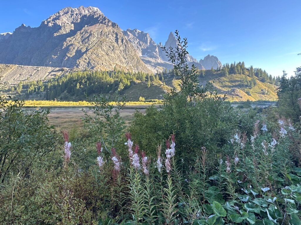 Alpe de Lex Blanche – Italy