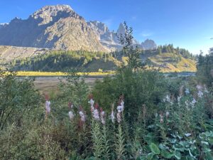 Alpe de Lex Blanche – Italy
