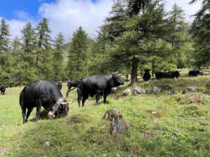 Val Ferret - Switzerland