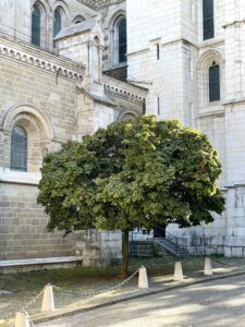 Geneva - Switzerland