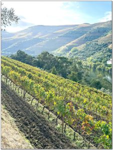 Douro Valley