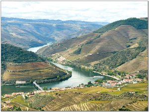 Douro Valley
