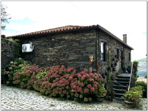 Provesende Douro Valley