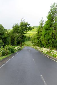 Faial - Açores
