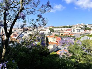 Lisbon - Portugal