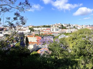 Lisbon - Portugal