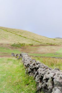 Pico - Açores