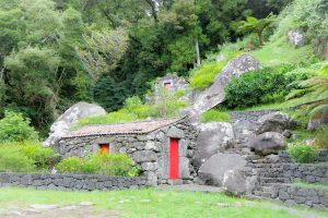 Sao Jorge - Açores