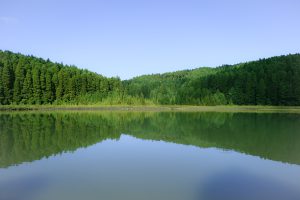 Sao Miguel - Açores