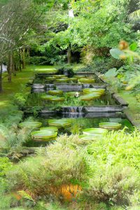 Sao Miguel - Açores