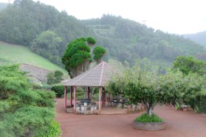 Sao Miguel - Açores